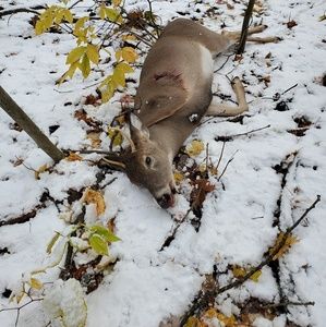 Meet your Posher, Bill